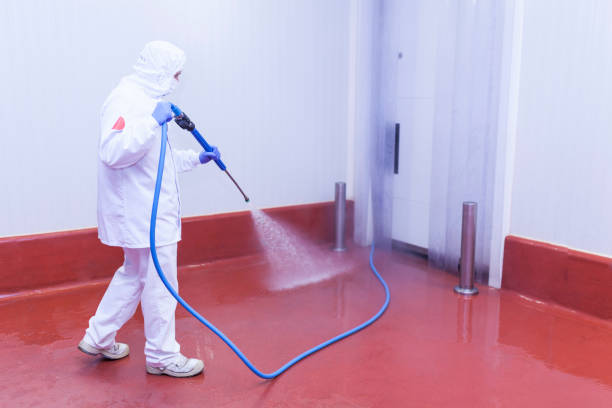 Best Driveway Pressure Washing  in Daly City, CA